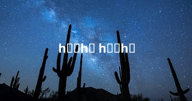 һվʽһǮ һվʽһǮ